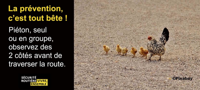 2021 05 29 Préventions Chiffres 2